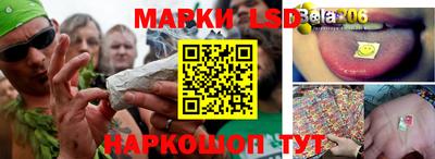 индика Тулун