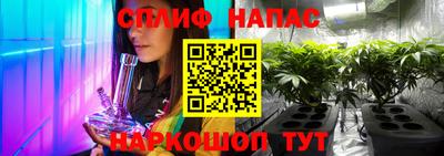 индика Тулун