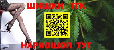 индика Тулун
